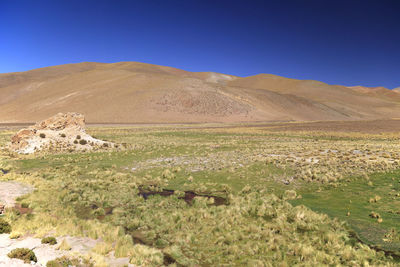 Scenic view of landscape against clear blue sky