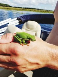 Midsection of man holding leaf in water