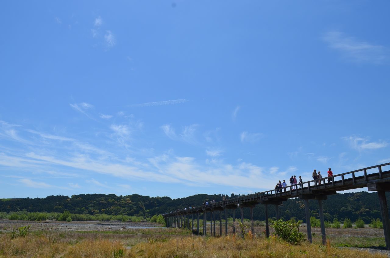 sky, bridge - man made structure, connection, architecture, built structure, day, cloud - sky, nature, large group of people, outdoors, real people, bridge, men, tree, beauty in nature, city, people