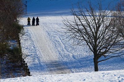 Bare tree on snow covered landscape