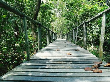 Narrow footbridge along trees in park