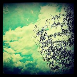 Low angle view of trees against cloudy sky