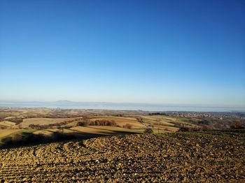 Scenic view of agricultural field against clear blue sky