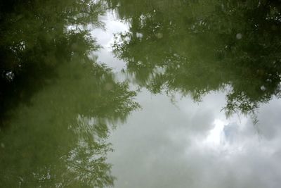 Reflection of trees in lake against sky