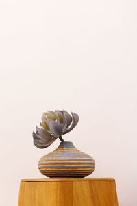 Close-up of statue on table against white background