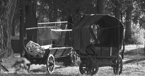 Rear view of man riding horse cart