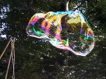 Low angle view of bubbles against trees