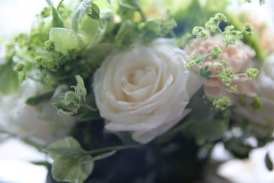 Close-up of rose bouquet