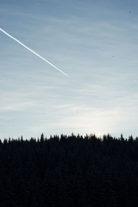 Low angle view of silhouette trees against sky at sunset