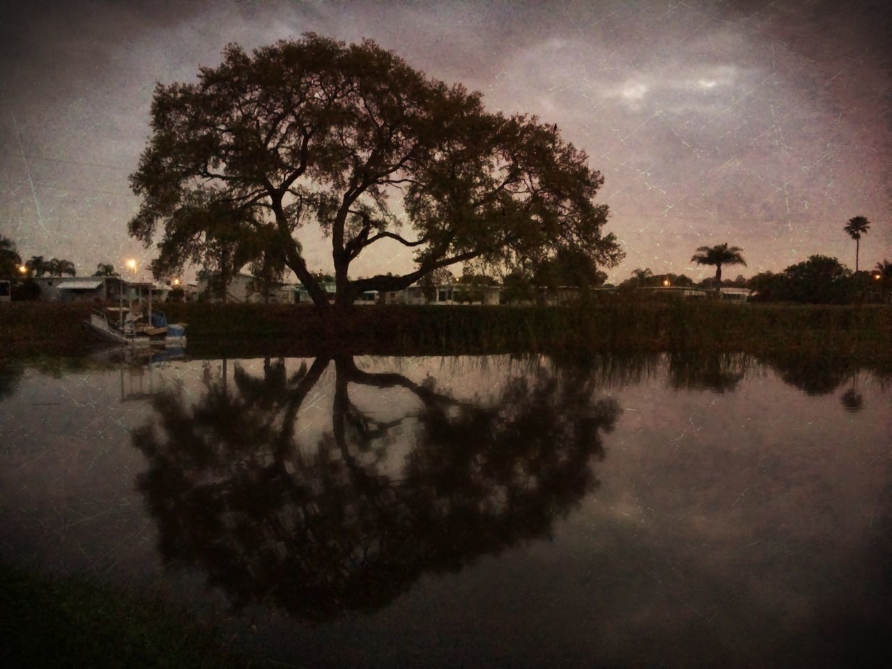 Lake Seminole, Largo, FL.