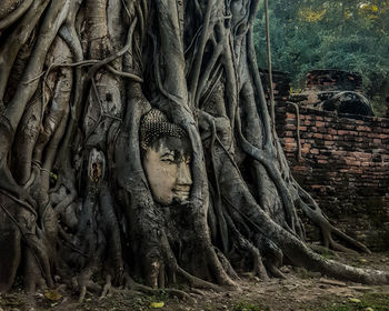 Statue of tree in park