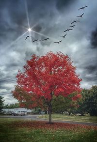 Scenic view of trees against cloudy sky