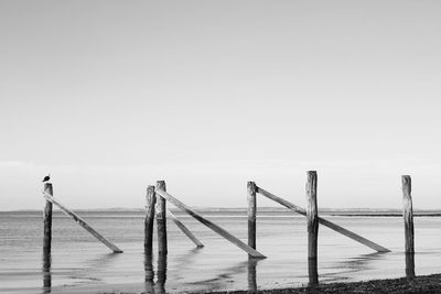 Wooden posts on sea against clear sky