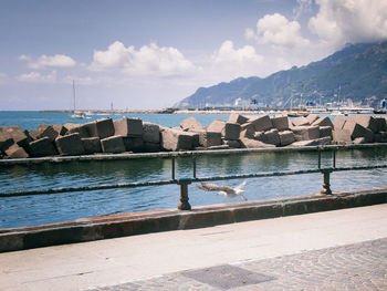 Scenic view of sea against sky with seagull flying