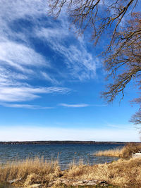 Scenic view of beach against blue sky