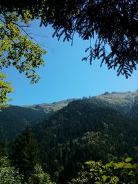 Scenic view of mountains