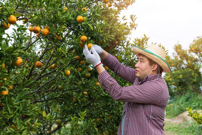 Side view of young woman holding fruit on tree