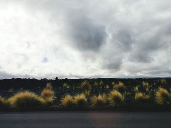 Road passing through field against cloudy sky