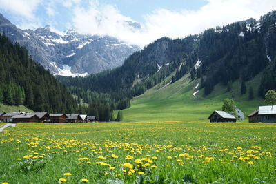 Scenic view of field against cloudy sky