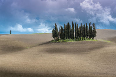 Panoramic shot of road amidst trees on field against sky