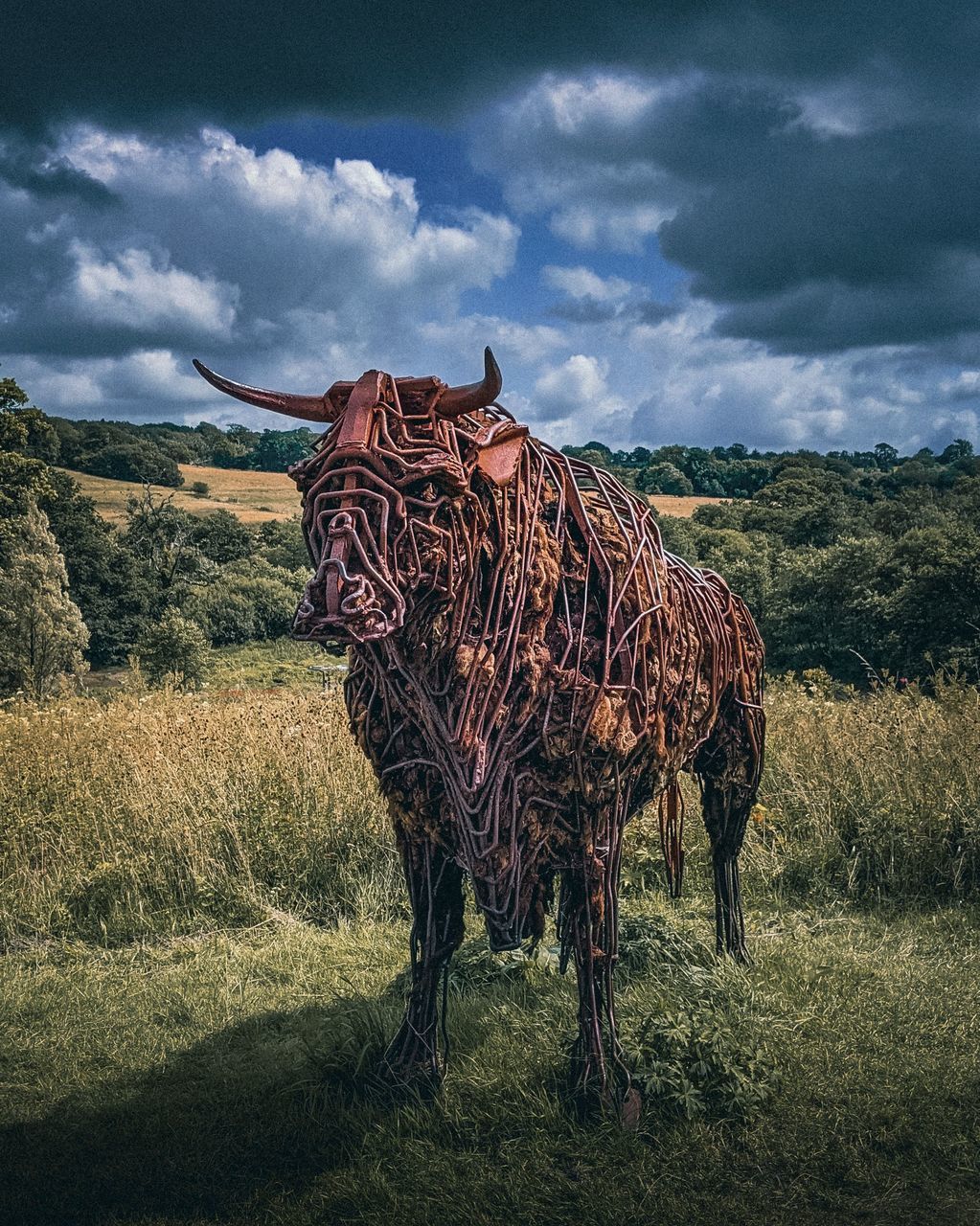 VIEW OF HORSE ON FIELD