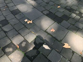 High angle view of cobblestone street