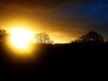 Silhouette trees against sky during sunset