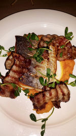 Close-up of meal served in plate