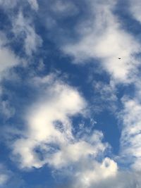 Low angle view of bird flying in sky