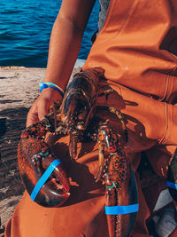 Lobster fishing industry 