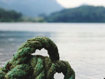 Close-up of rocks by sea