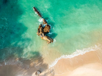 Man swimming in sea