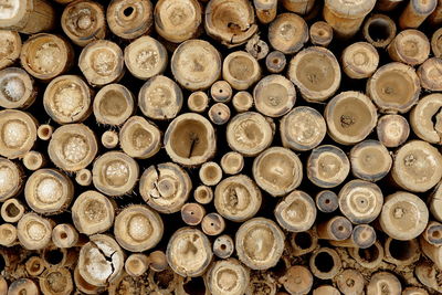 Full frame shot of logs in forest