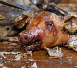 Close-up of crab on table