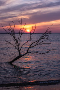 Scenic view of sea against orange sky