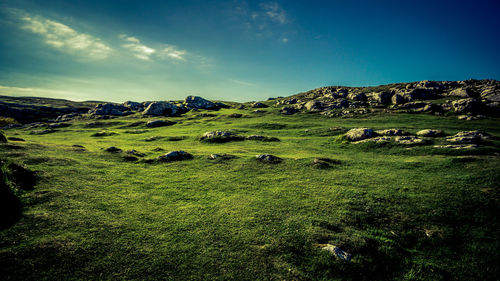 Scenic view of landscape against blue sky