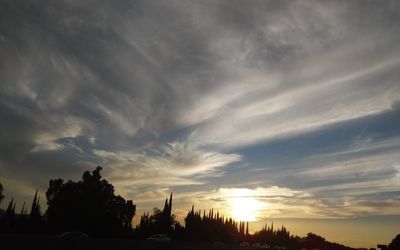 Low angle view of silhouette trees against sky