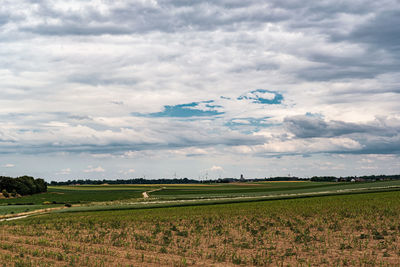 Scenic view of agricultural field against sky