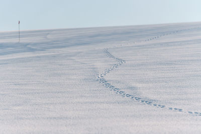 Scenic view of snowy field against sky