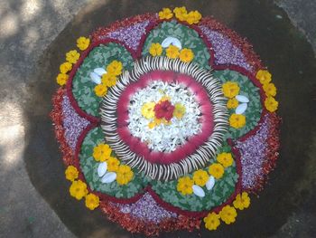 Close-up of colorful flowers