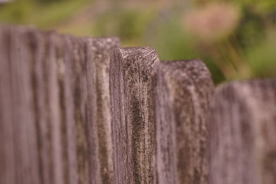 Close-up of wooden post on fence