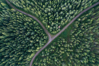 Aerial view of crossroads in a forest in finland