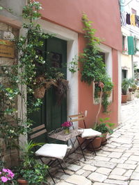 Potted plants on table by building in city