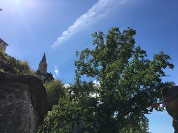 Low angle view of trees and rocks against sky