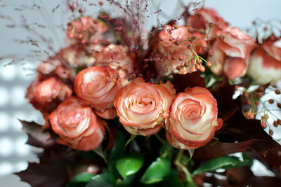 Close-up of red roses