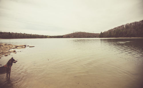 Man swimming in lake against sky