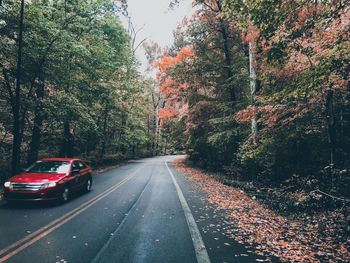 Cars on road by trees during autumn