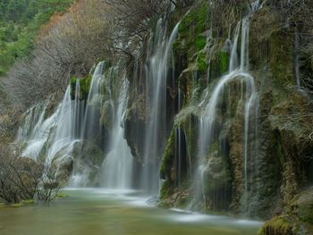 View of waterfall in forest