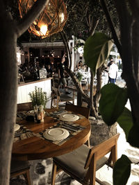 Potted plants and chairs in restaurant