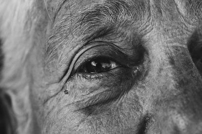 Close-up portrait of man eye